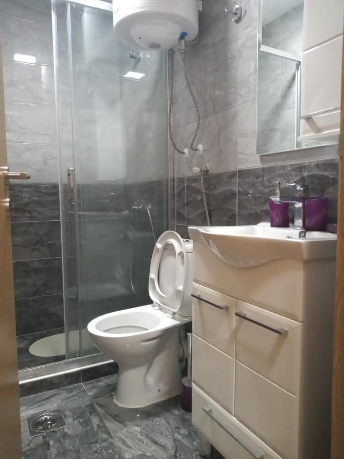 Lela Apartman Josanicka Banja Kültér fotó