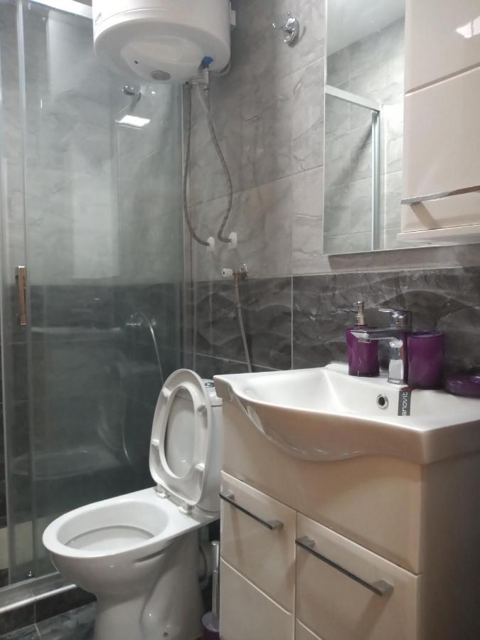 Lela Apartman Josanicka Banja Kültér fotó